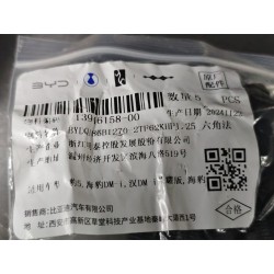 Boulon à bride hexagonale - BYD - 13946158-00
