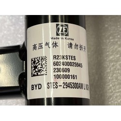 Amortisseur électronique arrière gauche - BYD - 13934138-00