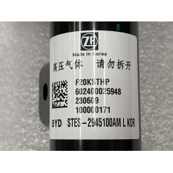 Amortisseur électronique avant gauche - BYD - 13934133-00
