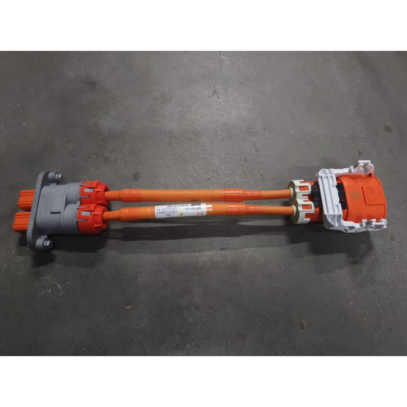 Faisceau d'alimentation - BYD - 13931312-00
