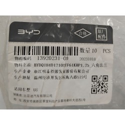 Boulon à bride hexagonale - BYD - 13920231-00