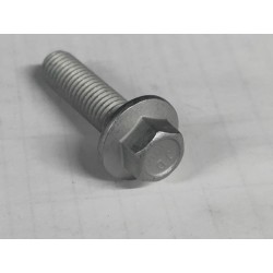 Boulon à bride hexagonale - BYD - 13910099-00