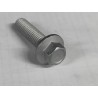 Boulon à bride hexagonale - BYD - 13910099-00
