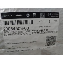 Support d'aile milieu gauche - BYD - 20054503-00