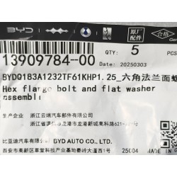 Boulon à bride hexagonale - BYD - 13909784-00