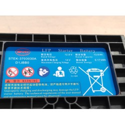 Batterie de démarrage 12 V - BYD - 13891829-00
