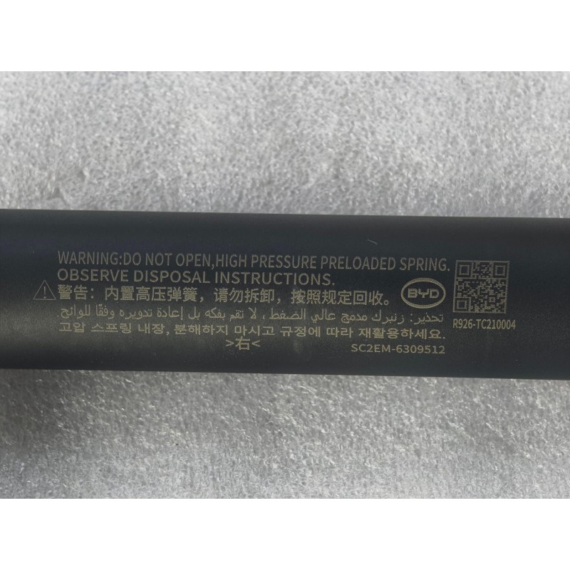 Vérin électrique droit du couvercle du coffre - BYD - 13889472-00