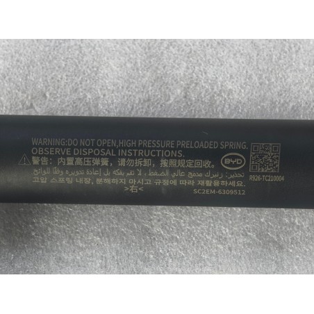 Vérin électrique droit du couvercle du coffre - BYD - 13889472-00