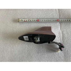 Antenne externe - Rose - BYD - 13884790-00