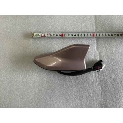 Antenne externe - Rose - BYD - 13884790-00