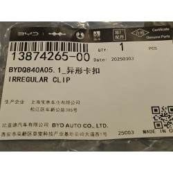 Agrafe irrégulière - BYD - 13874265-00