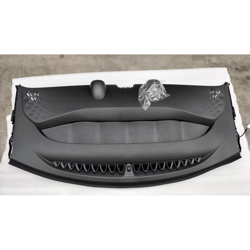 Corps supérieur du tableau de bord - Rose - BYD - 13869837-00
