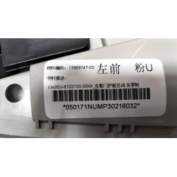 Protection de la portière avant gauche - Rose gris clair - BYD - 13869747-00