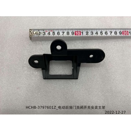 Support de montage de l'interrupteur de fermeture électrique du couvercle du coffre - BYD - 13868158-00