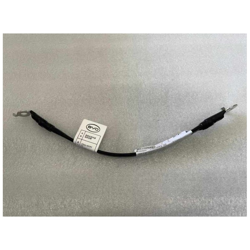 Faisceau de câbles de mise à la terre de l'unité de commande du moteur arrière - BYD - 13863084-00