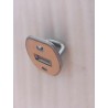 Anneau de verrouillage de la portière latérale - BYD - 13856468-00
