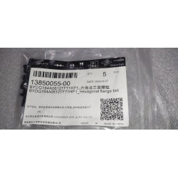 Hexagonal flange bolts - BYD - 13850055-00