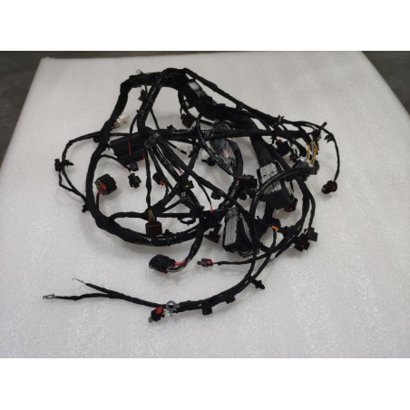 Câblage moteur - BYD - 20001817-00