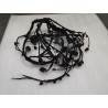 Câblage moteur - BYD - 20001817-00