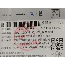 Écrou de ressort à lames - BYD - 13846746-00