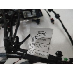 Câblage moteur - BYD - 20001817-00