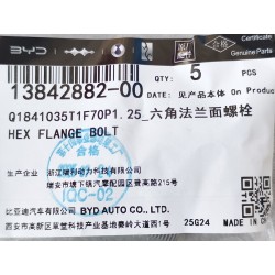 Boulon à embase hexagonale - BYD - 13842882-00
