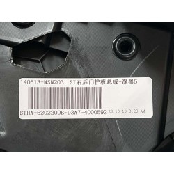 Protection de la portière arrière droite - Noir foncé 5 - BYD - 13840051-00