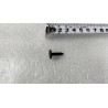 Vis autotaraudeuse - BYD - 13838849-00
