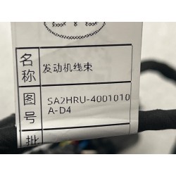Câblage moteur 1 - BYD - 19970521-00