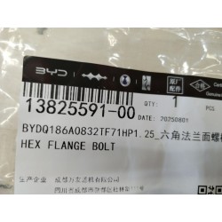 Boulon à embase hexagonale - BYD - 13825591-00