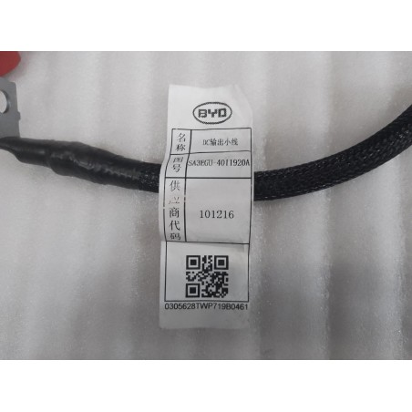 Fil de sortie CC - BYD - 13820466-00