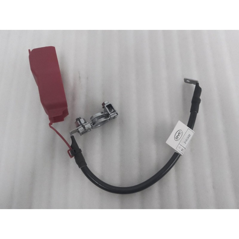 Faisceau de câbles positif de la batterie 12 V - BYD - 13820461-00