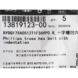 Boulon six pans - BYD - 13819123-00