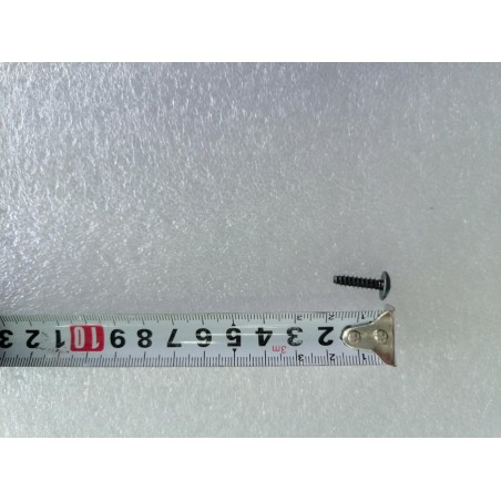 Vis autotaraudeuse - BYD - 13819098-00