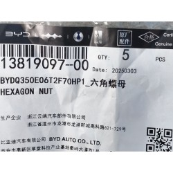 Écrou hexagonal - BYD - 13819097-00