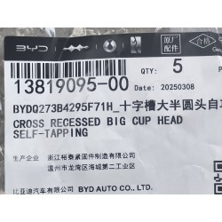 Vis autotaraudeuse - BYD - 13819095-00