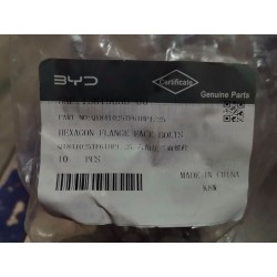 Boulon à bride hexagonale - BYD - 13819050-00