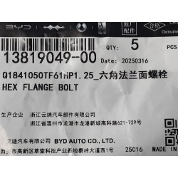 Boulon à bride hexagonale - BYD - 13819049-00
