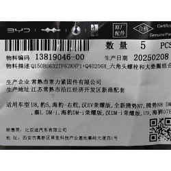 Boulon six pans - BYD - 13819046-00