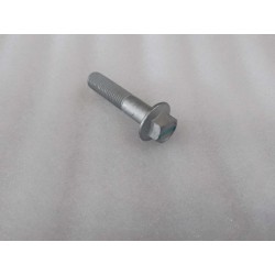 Boulon à bride hexagonale - BYD - 13819036-00