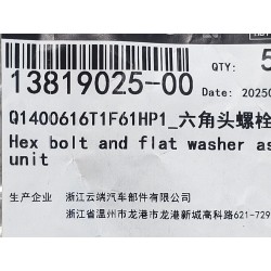 Boulon six pans - BYD - 13819025-00