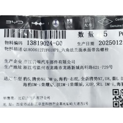 Boulon à bride hexagonale avec dent sur la surface d'appui - BYD - 13819024-00