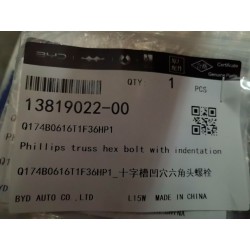 Boulon à tête hexagonale à empreinte Phillips avec indentation - BYD - 13819022-00