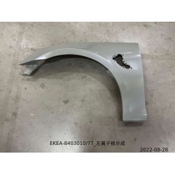 Aile gauche - BYD - 13818825-00