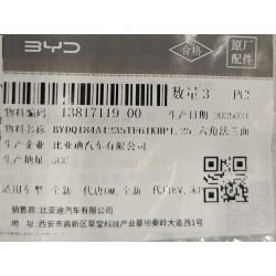 Boulon à bride hexagonale - BYD - 13817119-00
