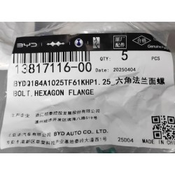 Boulon à bride hexagonale - BYD - 13817116-00