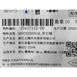 Goupille fendue - BYD - 13817112-00
