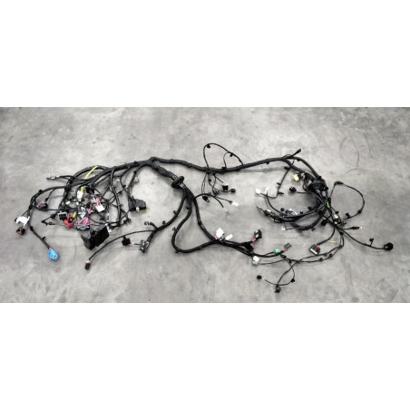 Faisceau de câbles du compartiment avant - BYD - 13813935-00