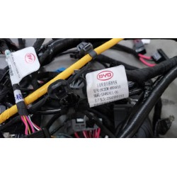 Faisceau de câbles du compartiment avant - BYD - 13813932-00