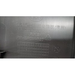 Support de plaque d'immatriculation du pare-chocs avant - BYD - 13806918-00